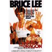 Bruce Lee 8